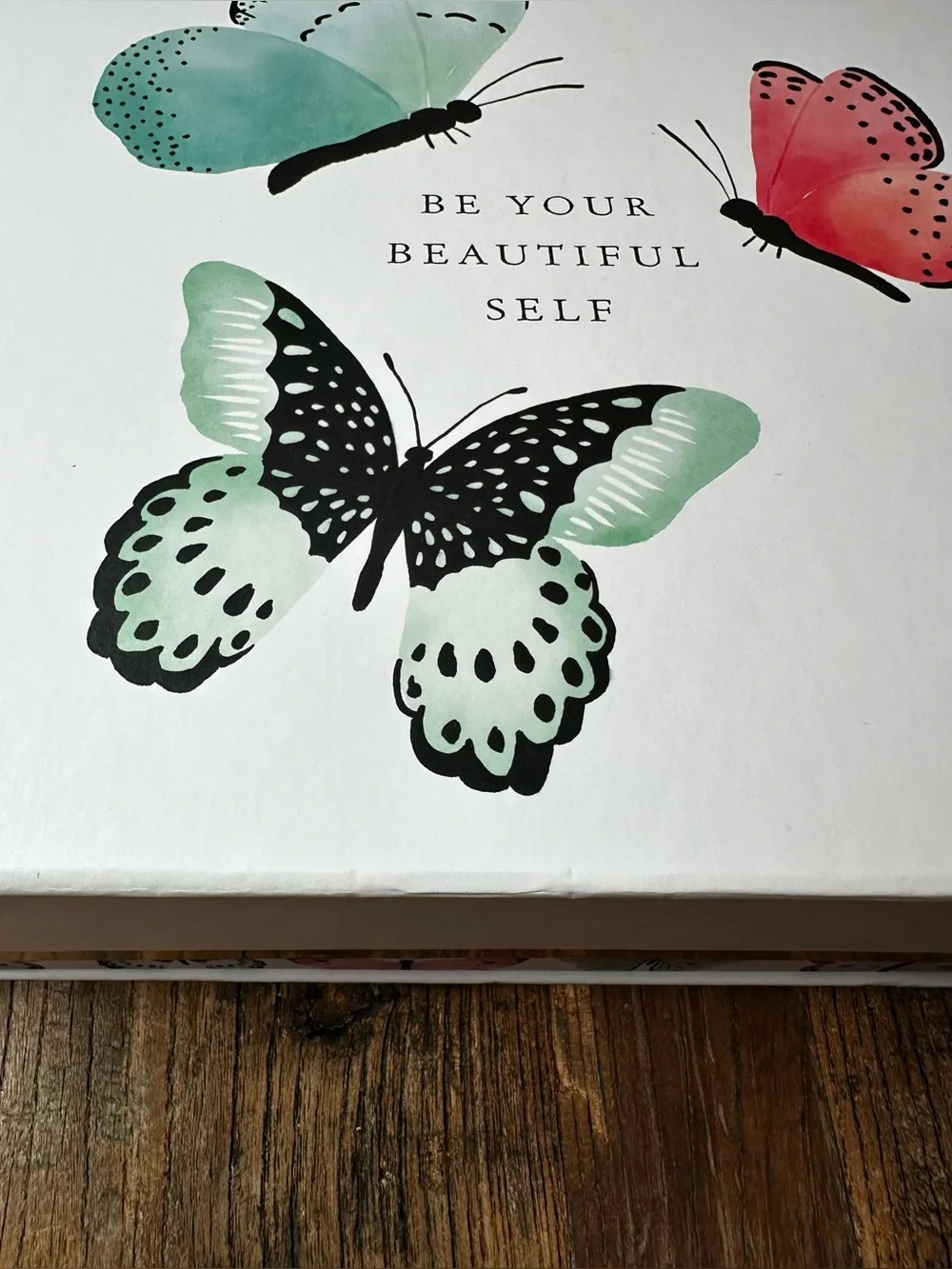 Butterfly Canvas Storage Box Set - Mint Green & Coral